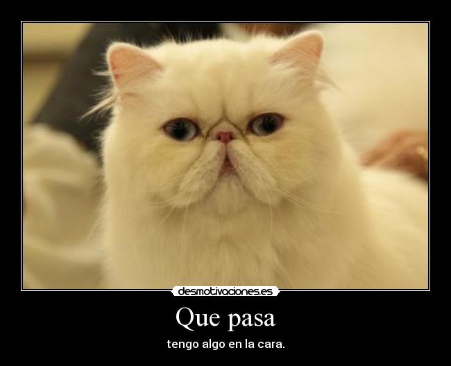 Que pasa - tengo algo en la cara.