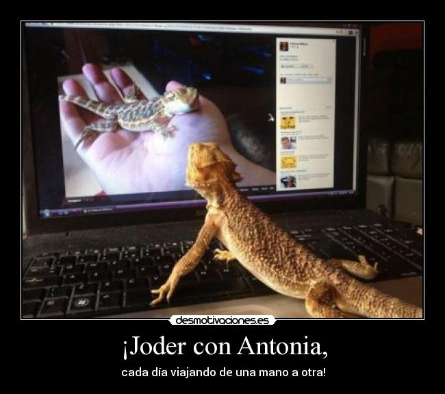 carteles desmofunny desmotivaciones