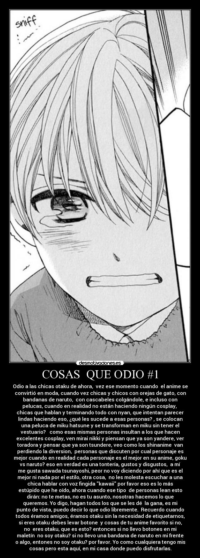 carteles odio cosas que odio anime otaku desmotivaciones