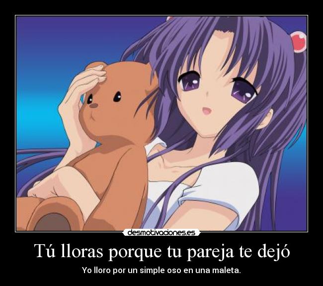 Tú lloras porque tu pareja te dejó - Yo lloro por un simple oso en una maleta.