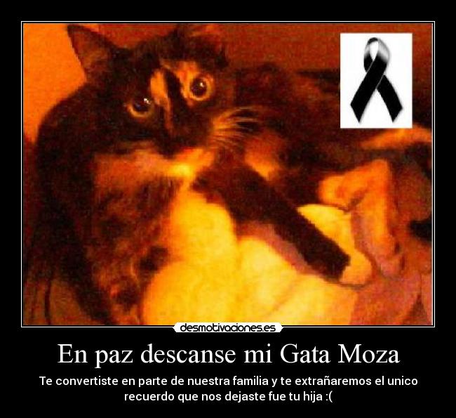 carteles luto desmotivaciones