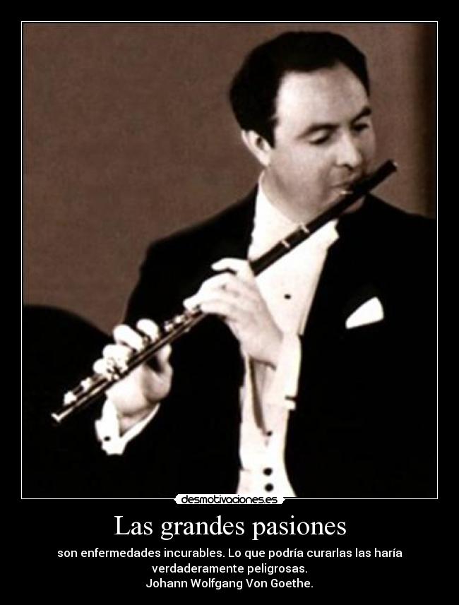 carteles pasion flauta traversa mas grande amor desmotivaciones