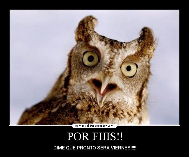 POR FIIIS!! - 