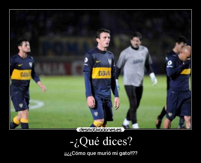 -¿Qué dices? - ¡¡¿¿Cómo que murió mi gato!!??