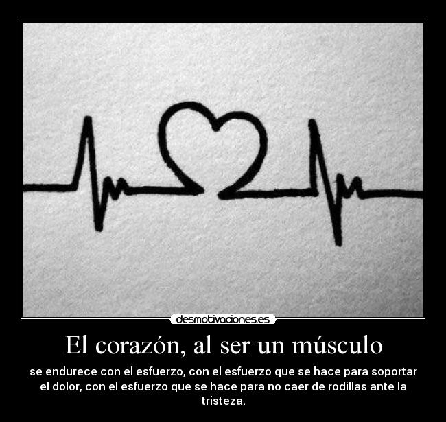 El corazón, al ser un músculo - se endurece con el esfuerzo, con el esfuerzo que se hace para soportar
el dolor, con el esfuerzo que se hace para no caer de rodillas ante la
tristeza.