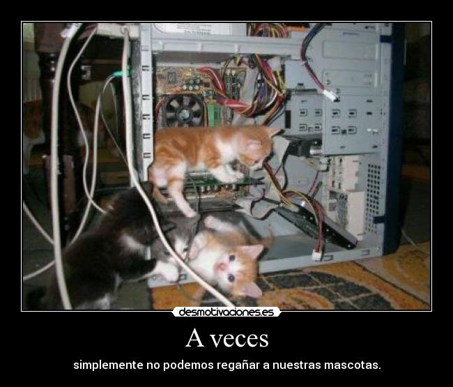 A veces -