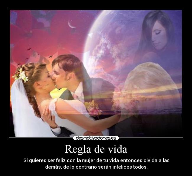 carteles vida vida desmotivaciones