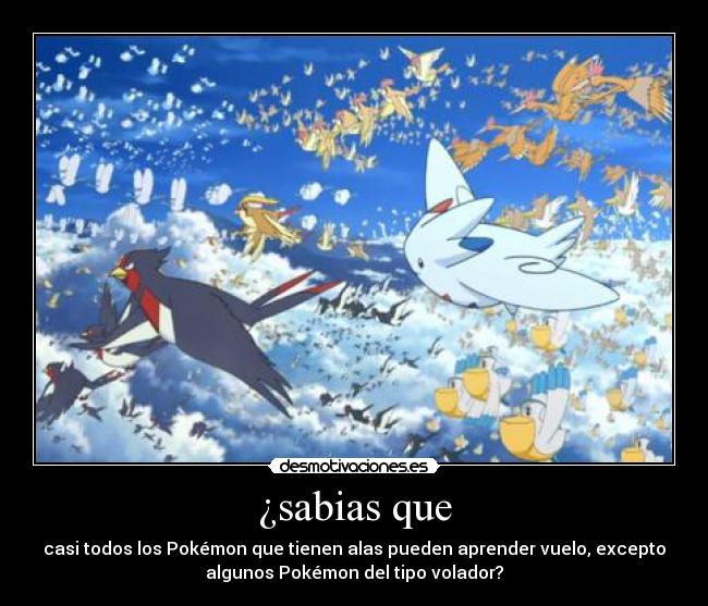 ¿sabias que - casi todos los Pokémon que tienen alas pueden aprender vuelo, excepto
algunos Pokémon del tipo volador?