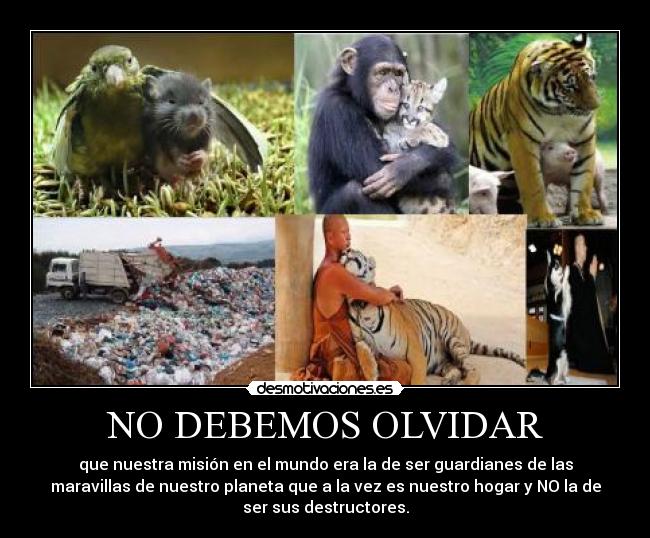 NO DEBEMOS OLVIDAR - que nuestra misión en el mundo era la de ser guardianes de las
maravillas de nuestro planeta que a la vez es nuestro hogar y NO la de
ser sus destructores.