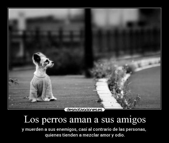 Los perros aman a sus amigos - y muerden a sus enemigos, casi al contrario de las personas, 
quienes tienden a mezclar amor y odio.