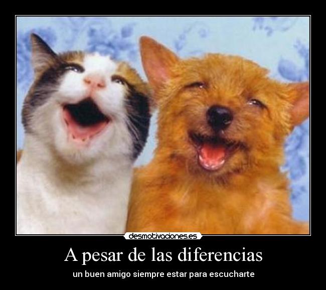 A pesar de las diferencias - un buen amigo siempre estar para escucharte