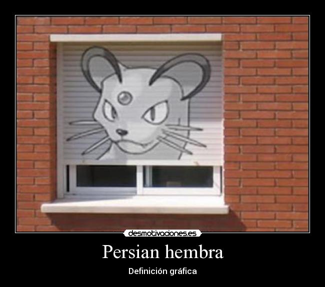 Persian hembra - Definición gráfica