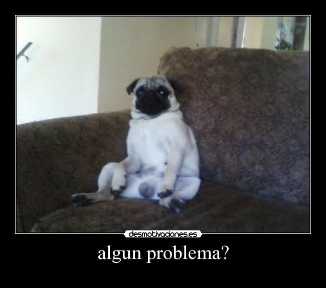 carteles pug desmotivaciones