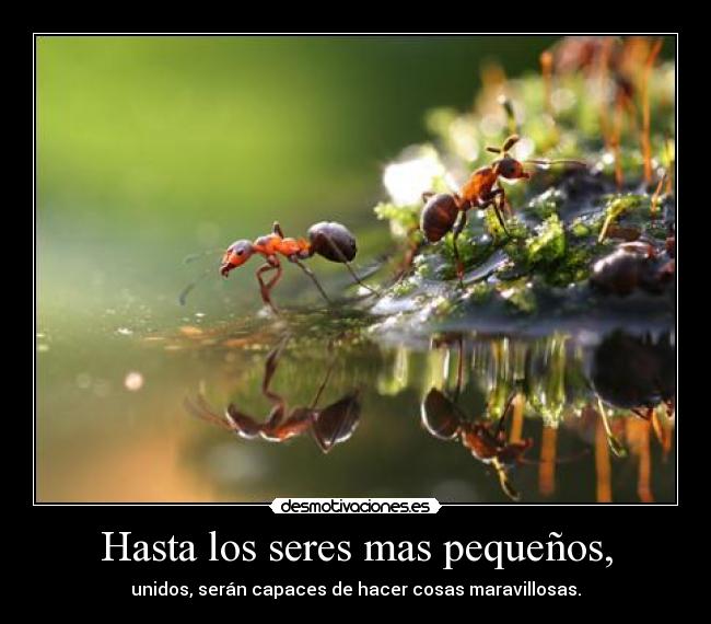 Hasta los seres mas pequeños, - unidos, serán capaces de hacer cosas maravillosas.