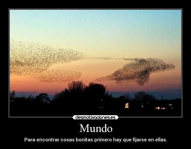 Mundo -