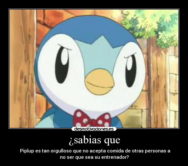 ¿sabias que - Piplup es tan orgulloso que no acepta comida de otras personas a
no ser que sea su entrenador?