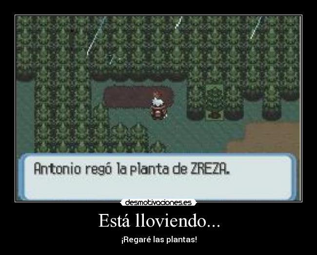 Está lloviendo... - ¡Regaré las plantas!