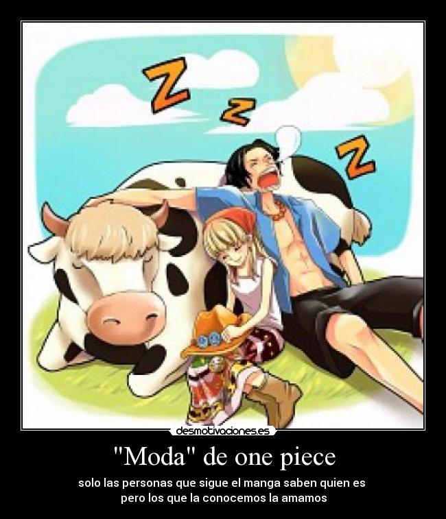 carteles onepice desmotivaciones