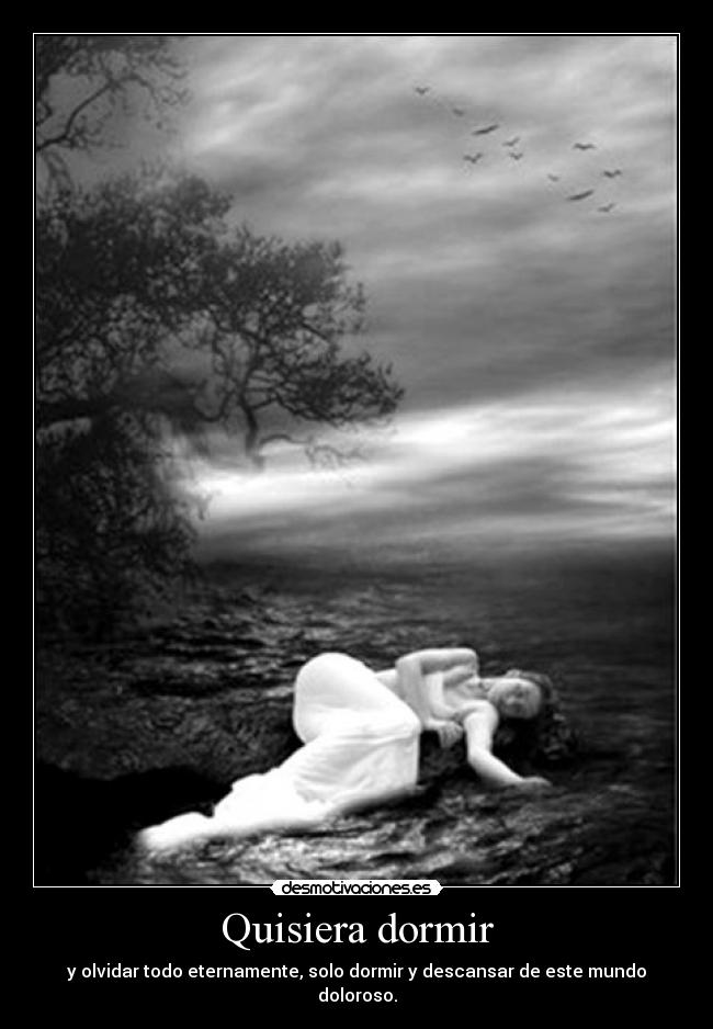 carteles dormir dormir quizas sonar desmotivaciones