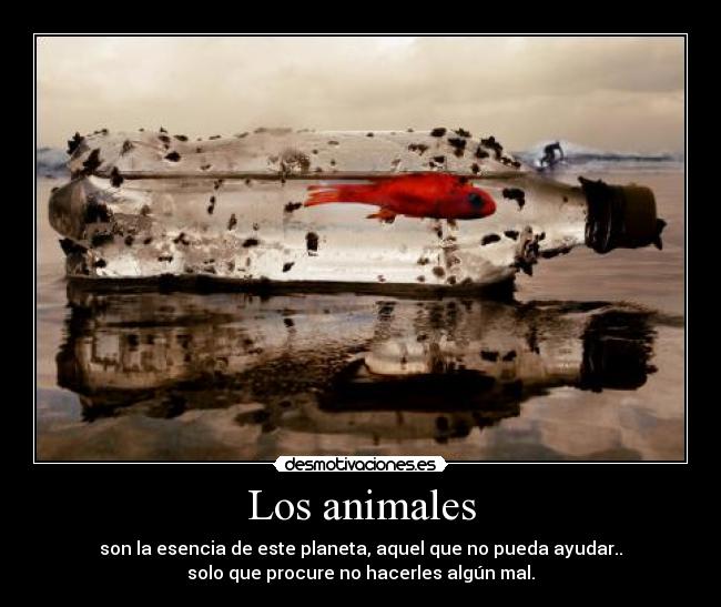 Los animales -