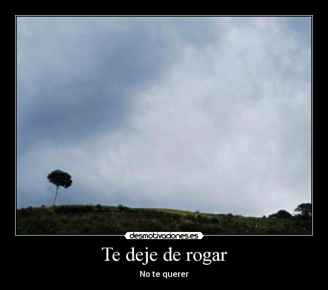 Te deje de rogar - No te querer