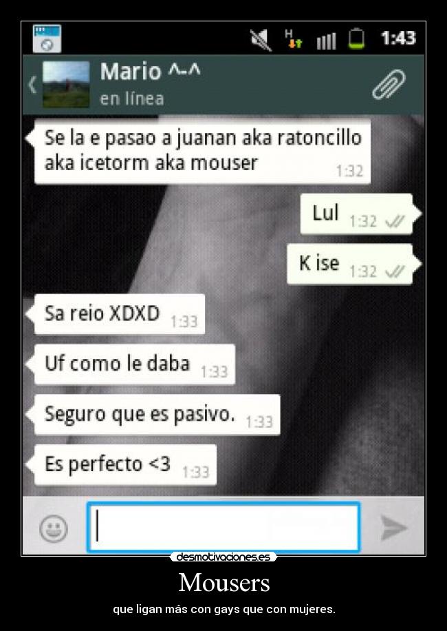 Mousers - que ligan más con gays que con mujeres.
