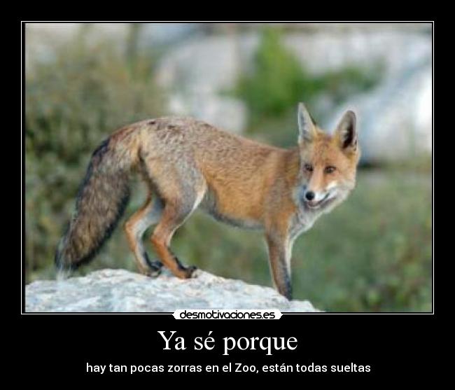 carteles pocas zorras zoo todas sueltas xdd desmotivaciones