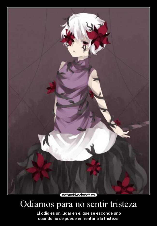 Odiamos para no sentir tristeza - El odio es un lugar en el que se esconde uno
cuando no se puede enfrentar a la tristeza.
