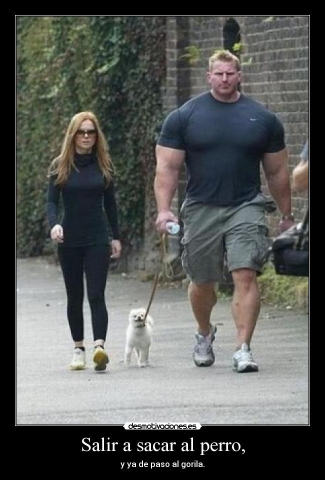 Salir a sacar al perro, - 
