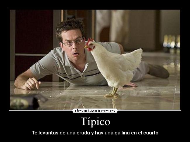 Típico - Te levantas de una cruda y hay una gallina en el cuarto