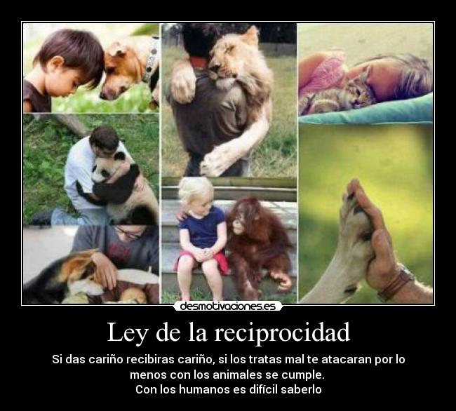 Ley de la reciprocidad - Si das cariño recibiras cariño, si los tratas mal te atacaran por lo
menos con los animales se cumple. 
Con los humanos es difícil saberlo