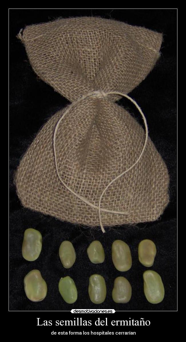 Las semillas del ermitaño - de esta forma los hospitales cerrarían