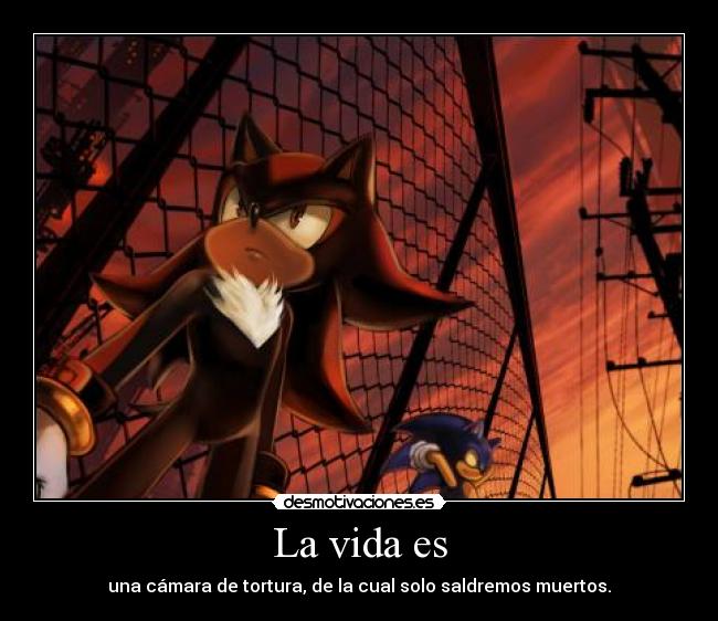 La vida es - una cámara de tortura, de la cual solo saldremos muertos.