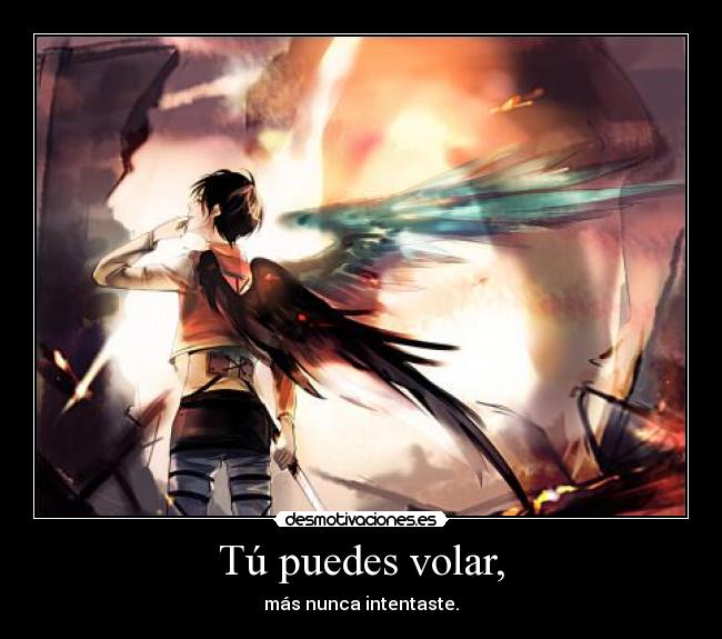 Tú puedes volar, - más nunca intentaste.