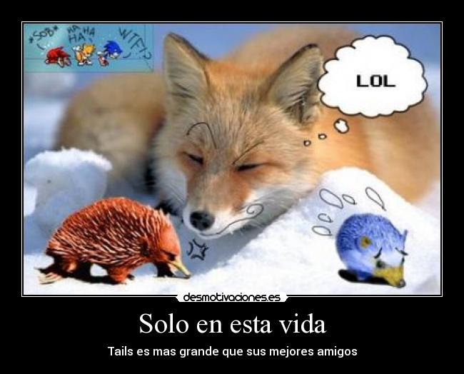 Solo en esta vida - Tails es mas grande que sus mejores amigos