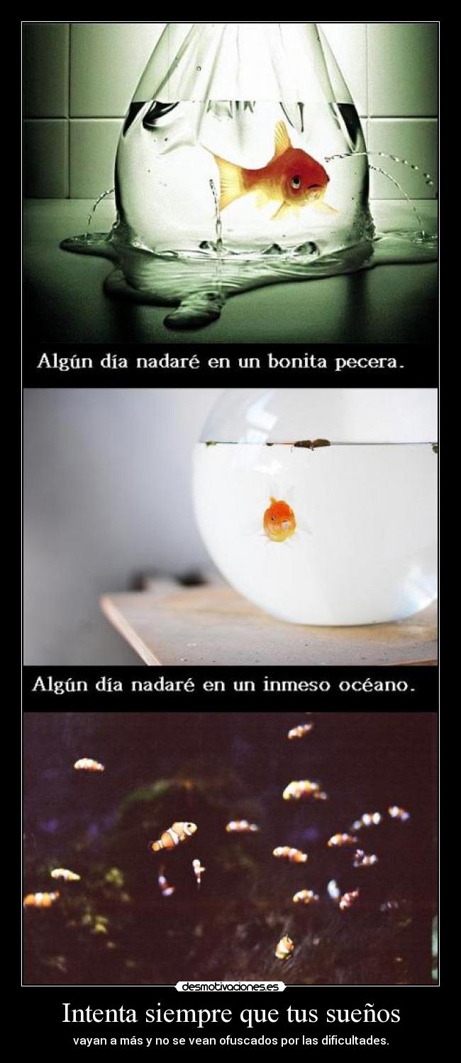 Intenta siempre que tus sueños - vayan a más y no se vean ofuscados por las dificultades.