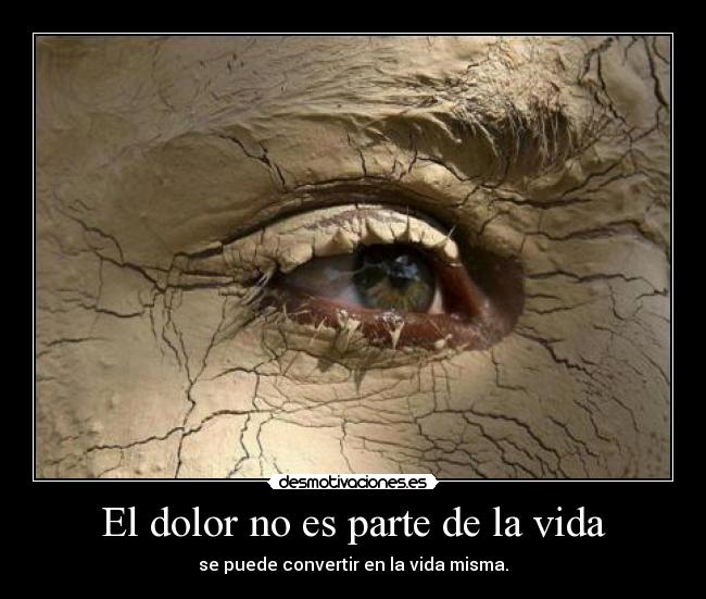 carteles dolor vida dolor desmotivaciones