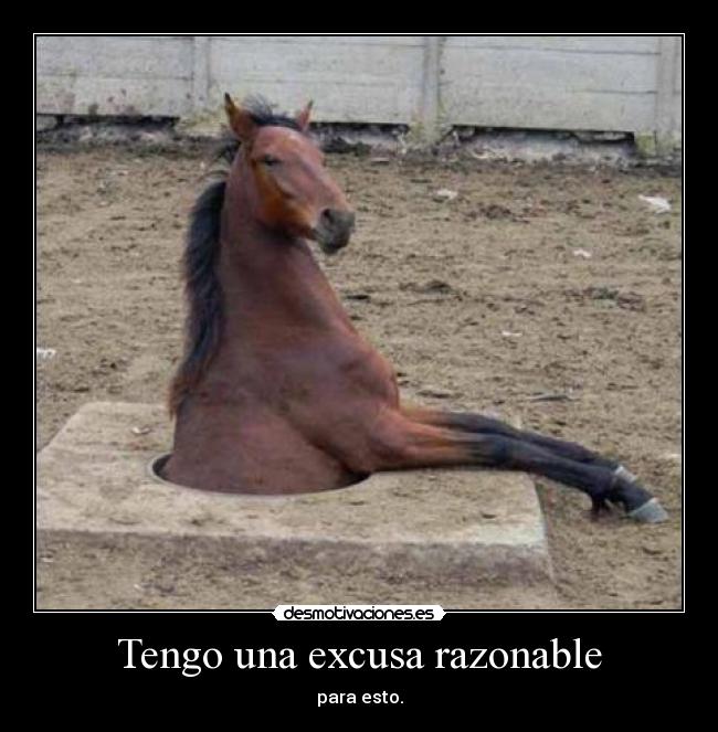 Tengo una excusa razonable -