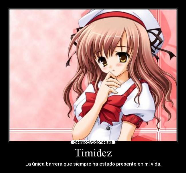 Timidez - La única barrera que siempre ha estado presente en mi vida.