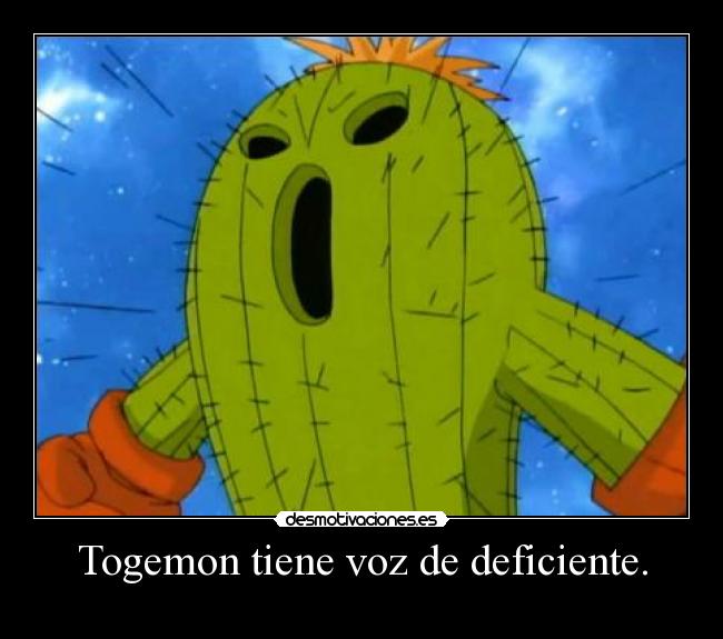 Togemon tiene voz de deficiente. - 