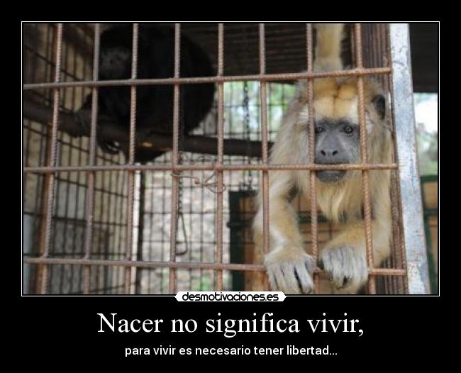 Nacer no significa vivir, - para vivir es necesario tener libertad...