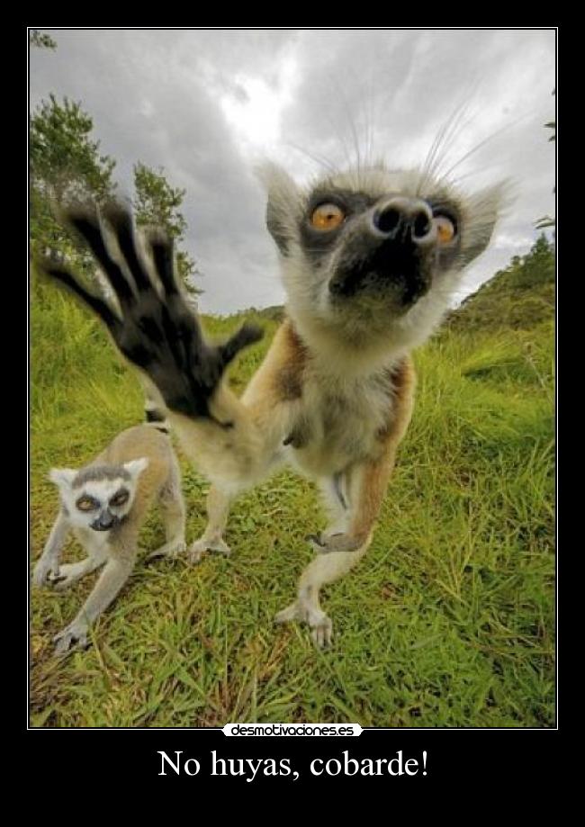 carteles correr desmotivaciones