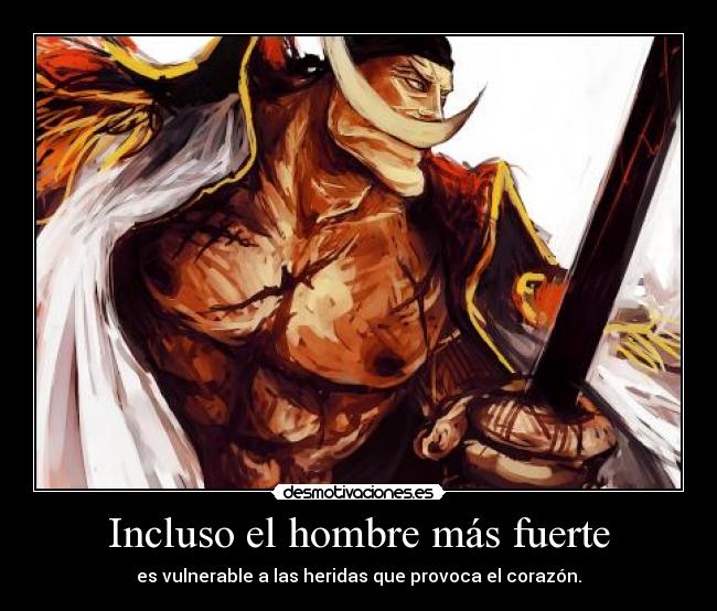 carteles anime one piece shirohige fuerza corazon inmune vulnerable desmotivaciones