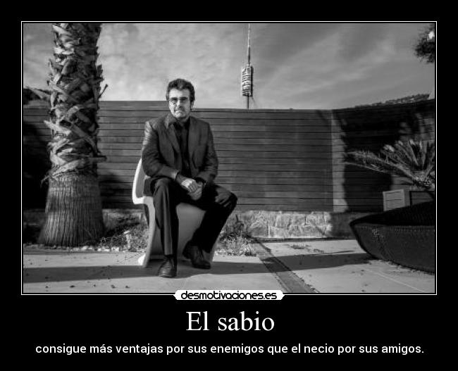 El sabio - consigue más ventajas por sus enemigos que el necio por sus amigos.