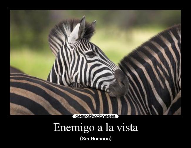 Enemigo a la vista - (Ser Humano)