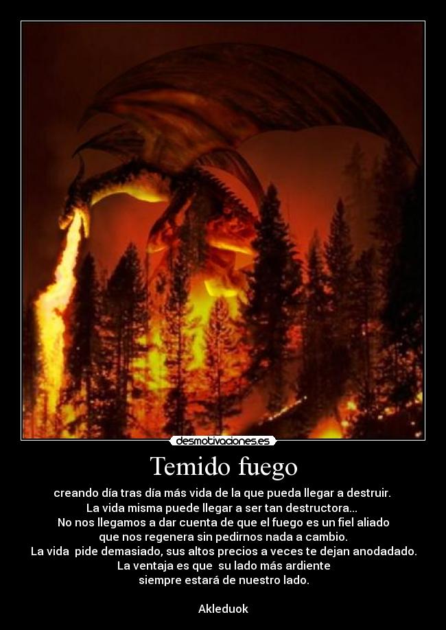 carteles akleduok provisoire desmotivaciones