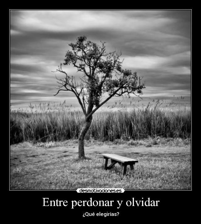 Entre perdonar y olvidar - ¿Qué elegirías?