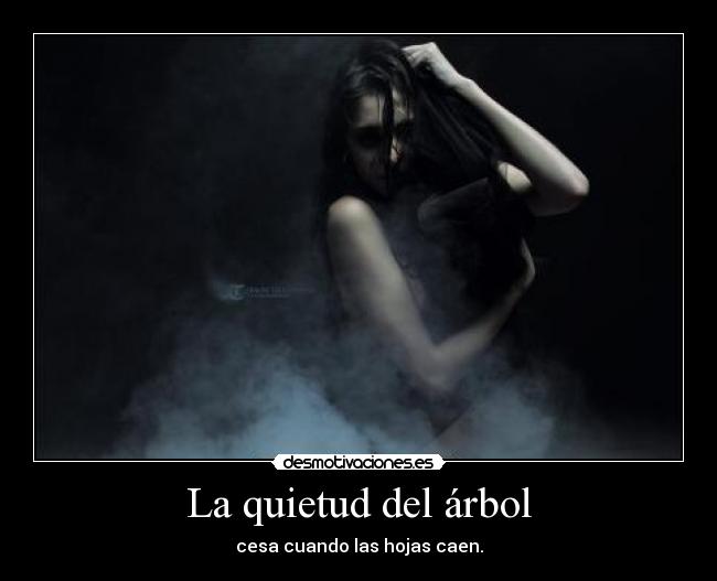 La quietud del árbol -