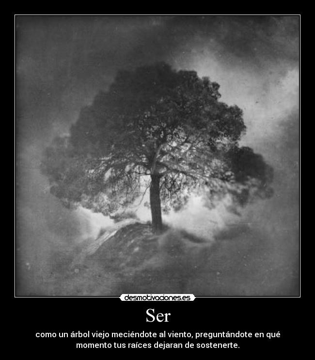 Ser - como un árbol viejo meciéndote al viento, preguntándote en qué
momento tus raíces dejaran de sostenerte.