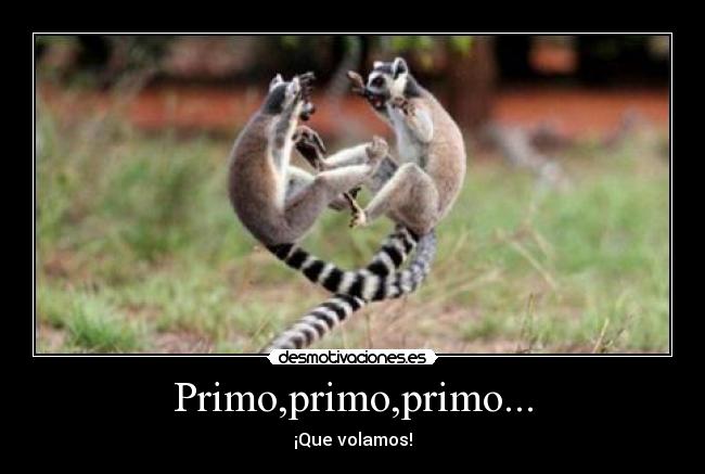 Primo,primo,primo... - ¡Que volamos!